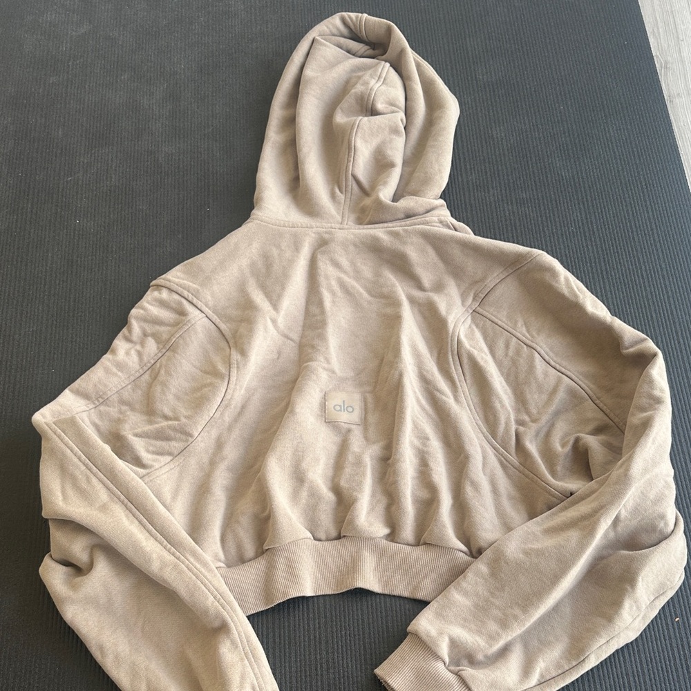ALO Yoga Women's Brown Cropped Hoodie